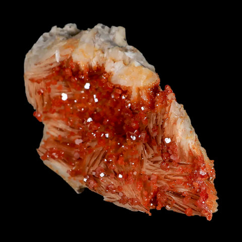 3.3" Sparkly Orange Vanadinite Crystals White Barite Blades Mineral Mabladen Morocco - Fossil Age Minerals