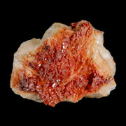 2.7" Sparkly Red Vanadinite Crystals White Barite Blades Mineral Mabladen Morocco