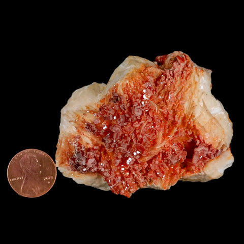 2.7" Sparkly Red Vanadinite Crystals White Barite Blades Mineral Mabladen Morocco - Fossil Age Minerals