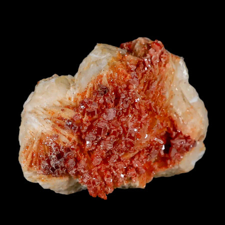 2.7" Sparkly Red Vanadinite Crystals White Barite Blades Mineral Mabladen Morocco