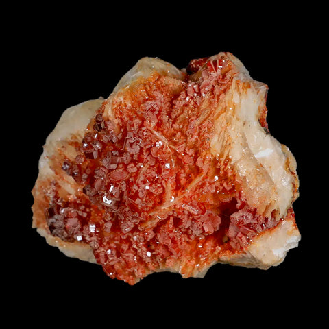 2.7" Sparkly Red Vanadinite Crystals White Barite Blades Mineral Mabladen Morocco - Fossil Age Minerals