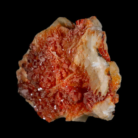 2.7" Sparkly Red Vanadinite Crystals White Barite Blades Mineral Mabladen Morocco - Fossil Age Minerals