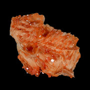 2" Sparkly Orange Vanadinite Crystals White Barite Blades Mineral Mabladen Morocco