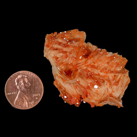 2" Sparkly Orange Vanadinite Crystals White Barite Blades Mineral Mabladen Morocco - Fossil Age Minerals