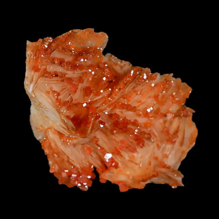 2" Sparkly Orange Vanadinite Crystals White Barite Blades Mineral Mabladen Morocco