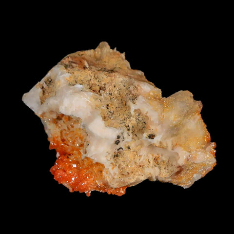 2" Sparkly Orange Vanadinite Crystals White Barite Blades Mineral Mabladen Morocco - Fossil Age Minerals