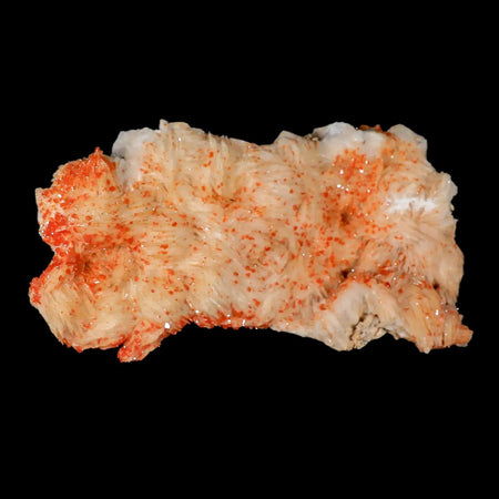 5.9" Sparkly Orange Vanadinite Crystals White Barite Blades Mineral Mabladen Morocco