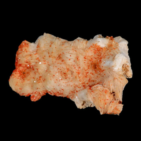 5.9" Sparkly Orange Vanadinite Crystals White Barite Blades Mineral Mabladen Morocco - Fossil Age Minerals