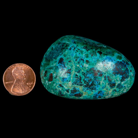 2.1" Chrysocolla Palm Stone Polished Free Form Blue Green And Teal Color Location Peru - Fossil Age Minerals