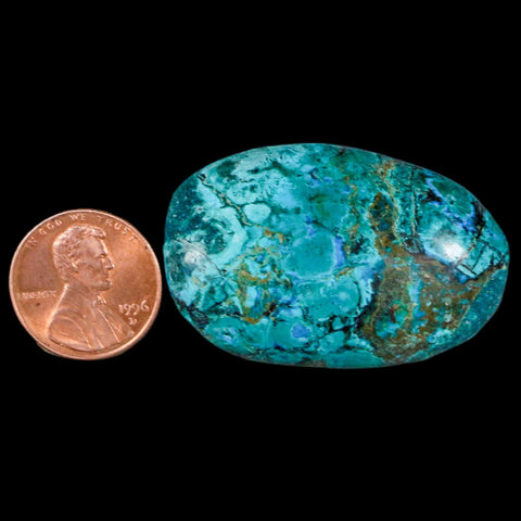 1.7" Chrysocolla Palm Stone Polished Free Form Blue And Teal Color Location Peru - Fossil Age Minerals