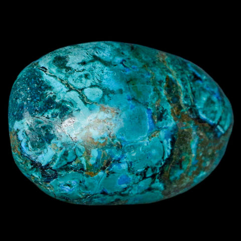 1.7" Chrysocolla Palm Stone Polished Free Form Blue And Teal Color Location Peru - Fossil Age Minerals