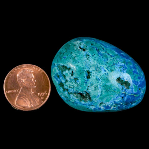 1.5" Chrysocolla Palm Stone Polished Free Form Blue And Teal Color Location Peru - Fossil Age Minerals