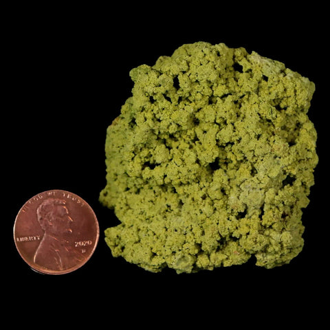 2" Rough Green Nontronite Mineral Specimen Jove Lauriano Minas Gerais Brazil - Fossil Age Minerals