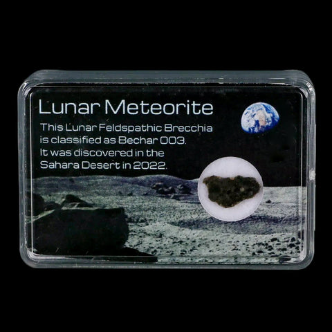 Moon Rock Lunar Meteorite Bechar 003 Algerian Sahara Desert Discovered 2022 - Fossil Age Minerals