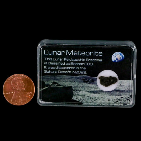 Moon Rock Lunar Meteorite Bechar 003 Algerian Sahara Desert Discovered 2022 - Fossil Age Minerals