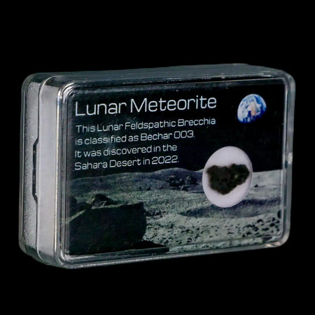 Moon Rock Lunar Meteorite Bechar 003 Algerian Sahara Desert Discovered 2022