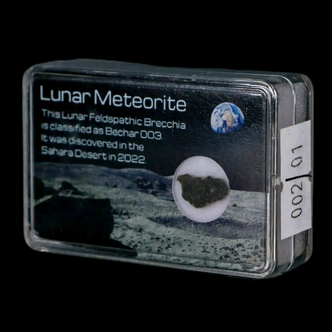 Moon Rock Lunar Meteorite Bechar 003 Algerian Sahara Desert Discovered 2022 - Fossil Age Minerals