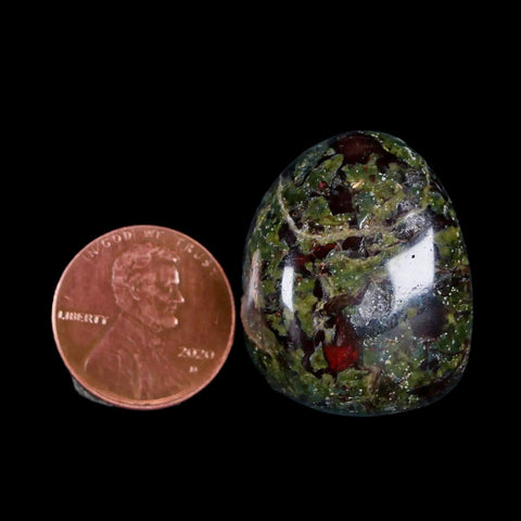 1.2" Polished Natural Dragon Blood Jasper Mineral Stone Western Australia - Fossil Age Minerals