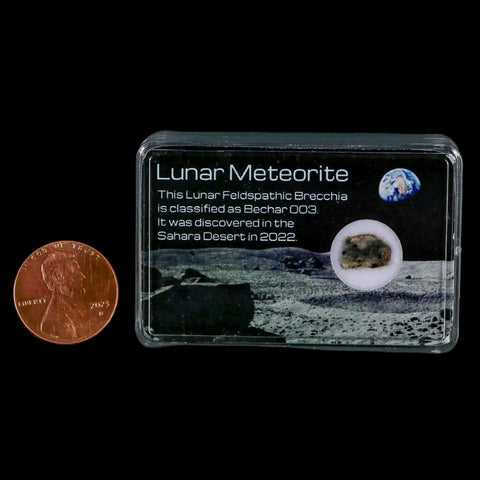 Moon Rock Lunar Meteorite Bechar 003 Algerian Sahara Desert Discovered 2022 - Fossil Age Minerals