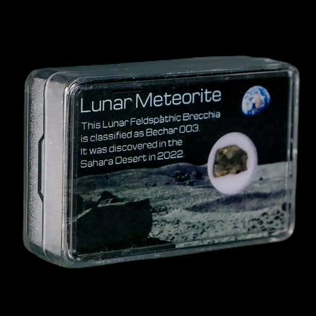 Moon Rock Lunar Meteorite Bechar 003 Algerian Sahara Desert Discovered 2022