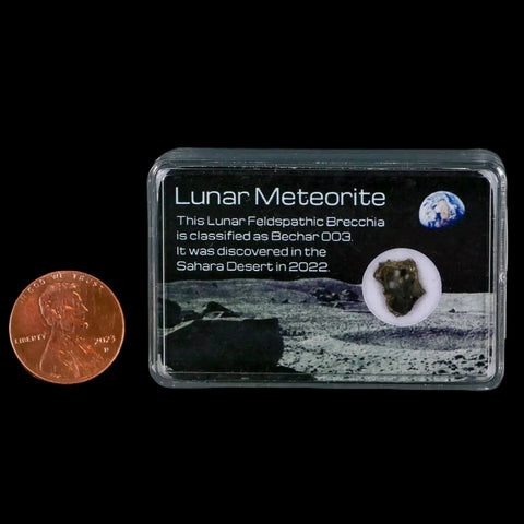 Moon Rock Lunar Meteorite Bechar 003 Algerian Sahara Desert Discovered 2022 - Fossil Age Minerals