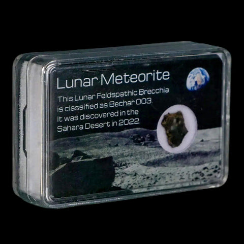 Moon Rock Lunar Meteorite Bechar 003 Algerian Sahara Desert Discovered 2022 - Fossil Age Minerals