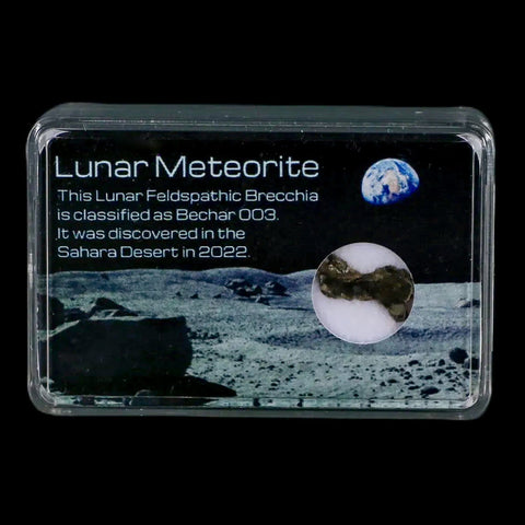 Moon Rock Lunar Meteorite Bechar 003 Algerian Sahara Desert Discovered 2022 - Fossil Age Minerals