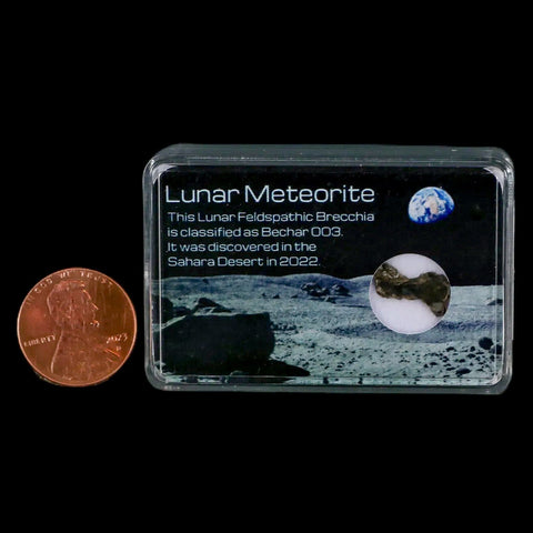 Moon Rock Lunar Meteorite Bechar 003 Algerian Sahara Desert Discovered 2022 - Fossil Age Minerals