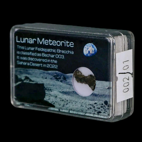 Moon Rock Lunar Meteorite Bechar 003 Algerian Sahara Desert Discovered 2022 - Fossil Age Minerals