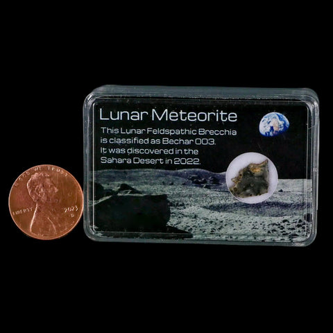 Moon Rock Lunar Meteorite Bechar 003 Algerian Sahara Desert Discovered 2022 - Fossil Age Minerals