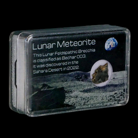 Moon Rock Lunar Meteorite Bechar 003 Algerian Sahara Desert Discovered 2022