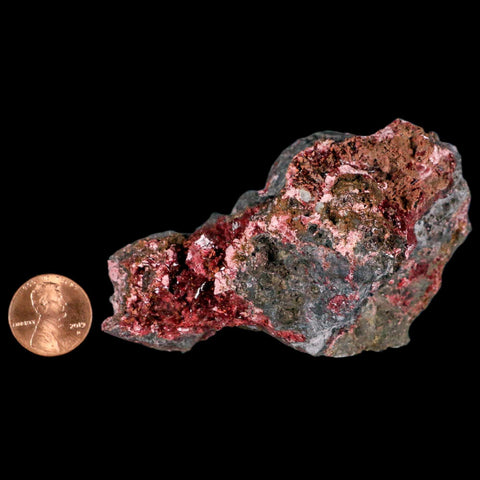 3.6" Erythrite Pink Cobalt Crystal Mineral Specimen Atlas Mountains, Morocco - Fossil Age Minerals