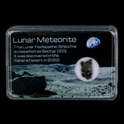 Moon Rock Lunar Meteorite Bechar 003 Algerian Sahara Desert Discovered 2022