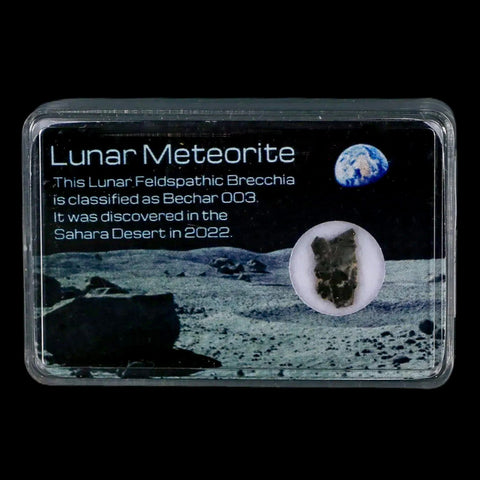 Moon Rock Lunar Meteorite Bechar 003 Algerian Sahara Desert Discovered 2022 - Fossil Age Minerals