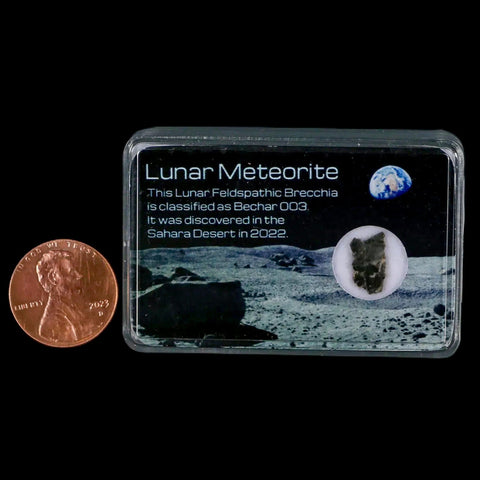 Moon Rock Lunar Meteorite Bechar 003 Algerian Sahara Desert Discovered 2022 - Fossil Age Minerals