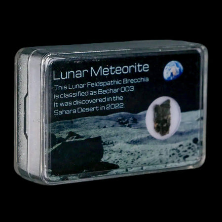 Moon Rock Lunar Meteorite Bechar 003 Algerian Sahara Desert Discovered 2022