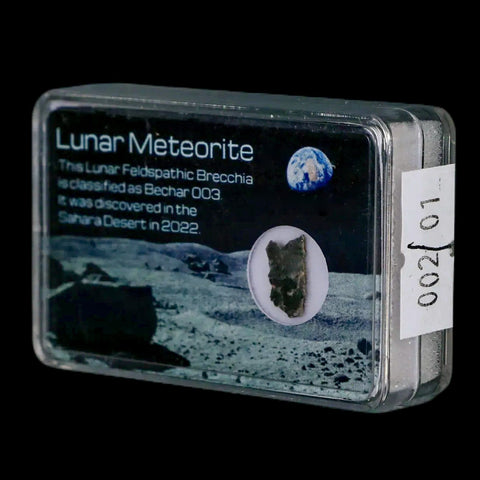 Moon Rock Lunar Meteorite Bechar 003 Algerian Sahara Desert Discovered 2022 - Fossil Age Minerals