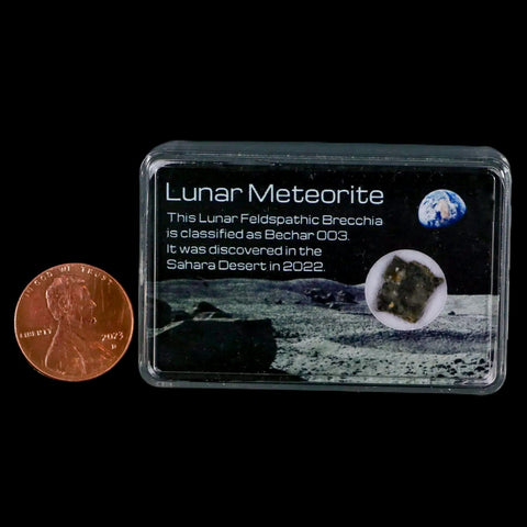 Moon Rock Lunar Meteorite Bechar 003 Algerian Sahara Desert Discovered 2022 - Fossil Age Minerals