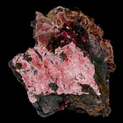 2.4" Erythrite Pink Cobalt Crystal Mineral Specimen Atlas Mountains, Morocco