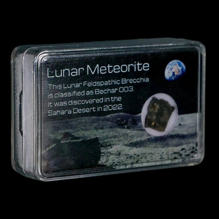 Moon Rock Lunar Meteorite Bechar 003 Algerian Sahara Desert Discovered 2022