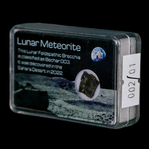 Moon Rock Lunar Meteorite Bechar 003 Algerian Sahara Desert Discovered 2022 - Fossil Age Minerals