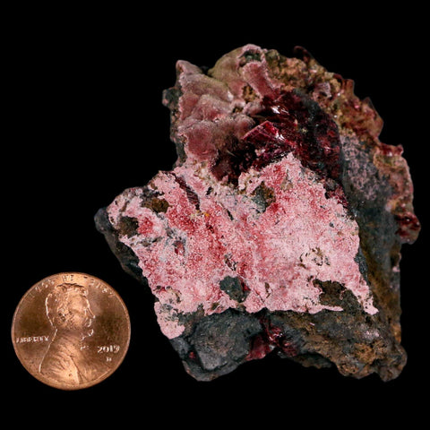 2.4" Erythrite Pink Cobalt Crystal Mineral Specimen Atlas Mountains, Morocco - Fossil Age Minerals