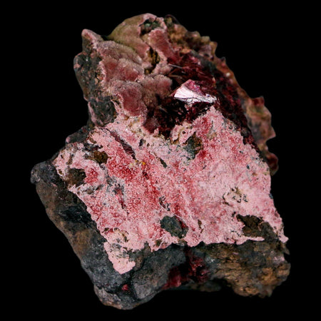 2.4" Erythrite Pink Cobalt Crystal Mineral Specimen Atlas Mountains, Morocco