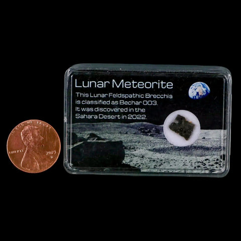 Moon Rock Lunar Meteorite Bechar 003 Algerian Sahara Desert Discovered 2022 - Fossil Age Minerals