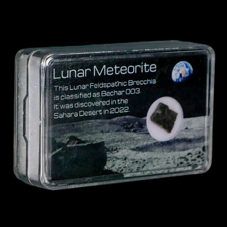 Moon Rock Lunar Meteorite Bechar 003 Algerian Sahara Desert Discovered 2022