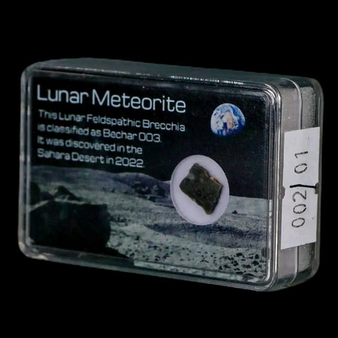 Moon Rock Lunar Meteorite Bechar 003 Algerian Sahara Desert Discovered 2022 - Fossil Age Minerals