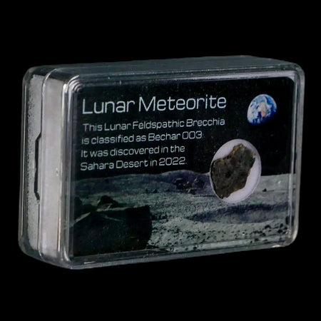 Moon Rock Lunar Meteorite Bechar 003 Algerian Sahara Desert Discovered 2022