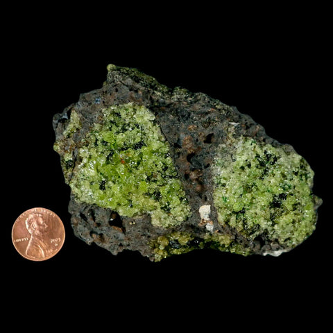 XL 3.9" Natural Emerald Peridot Crystal Minerals On Volcanic Rock Gila, Arizona - Fossil Age Minerals