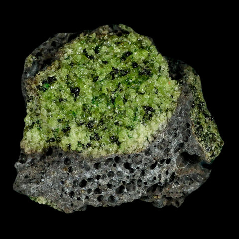 XL 3.2" Natural Emerald Peridot Crystal Minerals On Volcanic Rock Gila, Arizona - Fossil Age Minerals