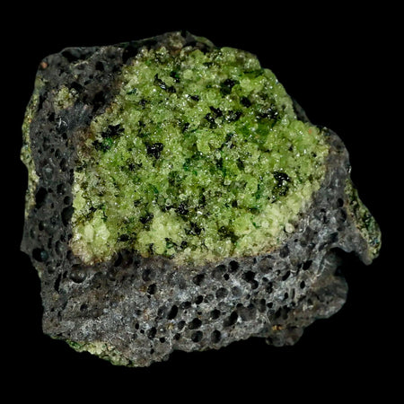 XL 3.2" Natural Emerald Peridot Crystal Minerals On Volcanic Rock Gila, Arizona